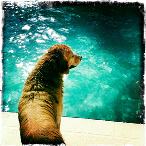 Hip 322346848.966820