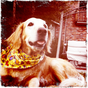 Hip 336013294.125798