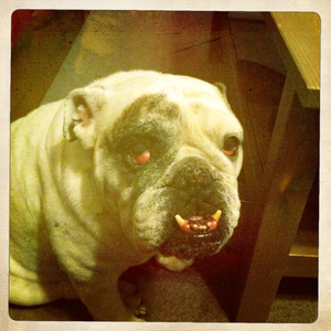 Hip 333160935.180683