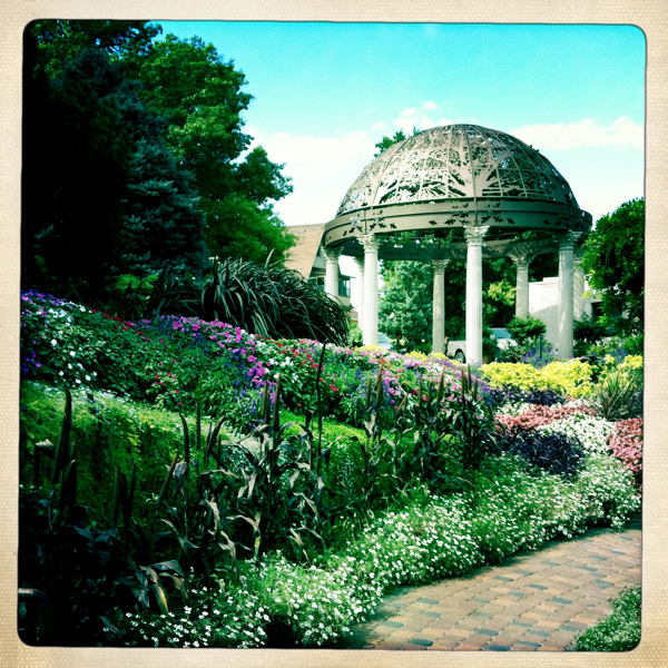 Hip 335650209.796515