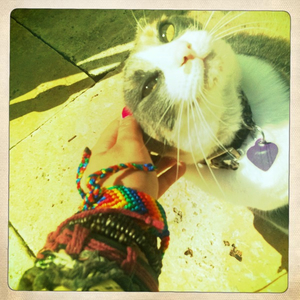 Hip 331082323.653651