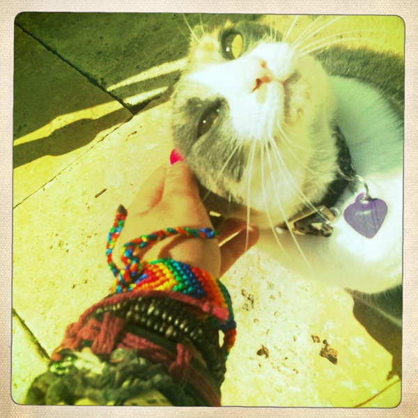 Hip 331082323.653651