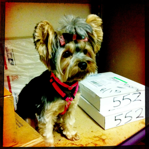 Hip 336011121.538915