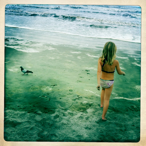 Hip 335995132.761649