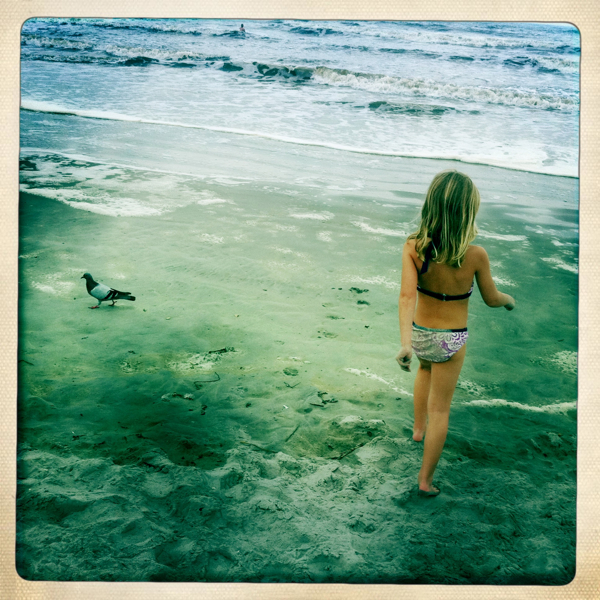 Hip 335995132.761649