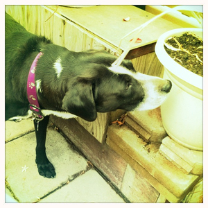 Hip 335980274.688502