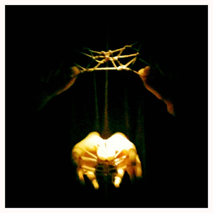 Hip 335990973.898644