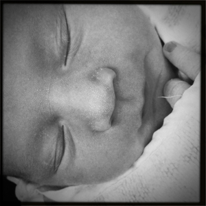 Hip 334911370.636392