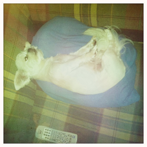 Hip 334121520.657768