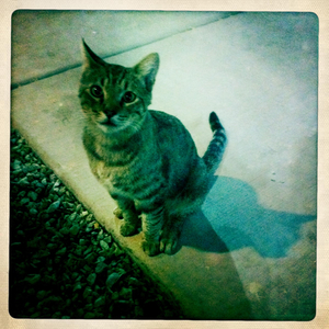 Hip 336019560.247261