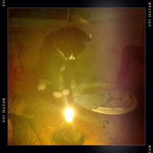 Hip 336023976.490430