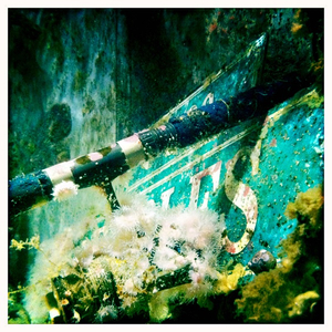 Hip 336001029.479163