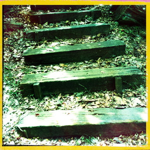 Hip 336019194.320680