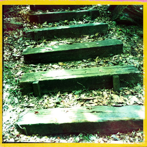 Hip 336019194.320680