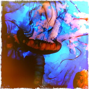 Hip 334101770.156429