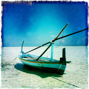 Hip 320220979.184510