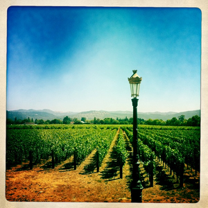 Hip 334951876.582435