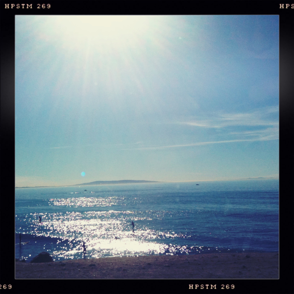 Hip 313868702.807261