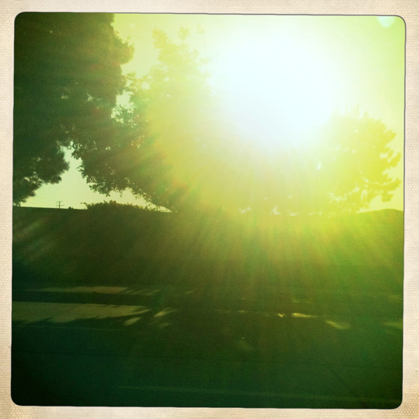 Hip 336014246.025795