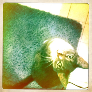 Hip 332749017.420776