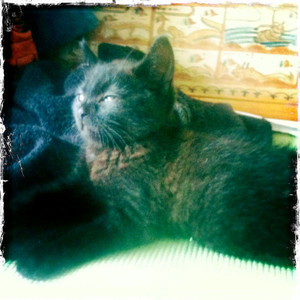 Hip 336036418.679192