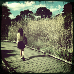 Hip 336022562.979861