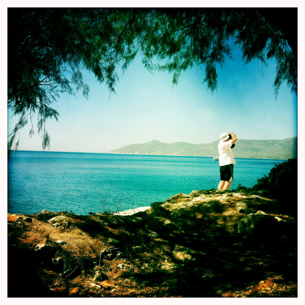 Hip 335868038.593313