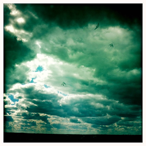 Hip 334954838.173461