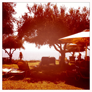 Hip 335260909.462605