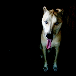 Hip 336051739.164014