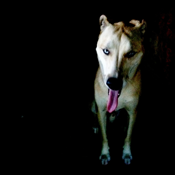 Hip 336051739.164014