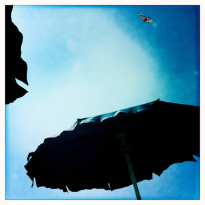 Hip 336051410.213180