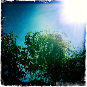 Hip 331396412.356958