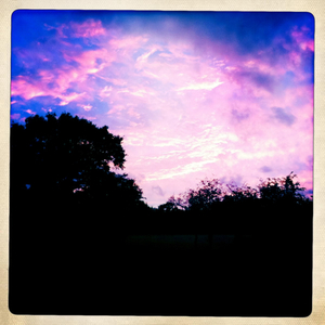 Hip 335733284.436230