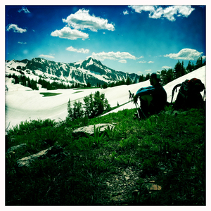 Hip 332543806.461026