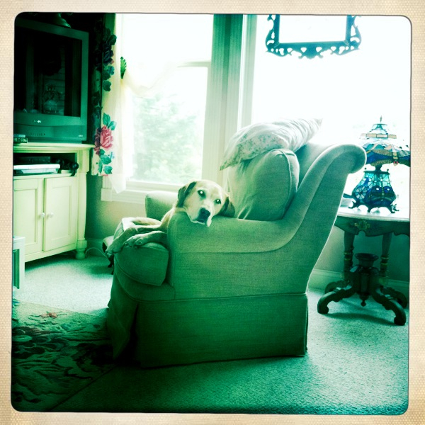 Hip 335823876.217342