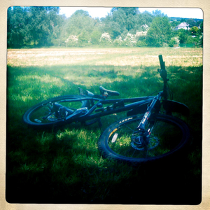 Hip 296394372.901622