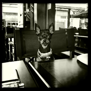 Hip 335706922.668022