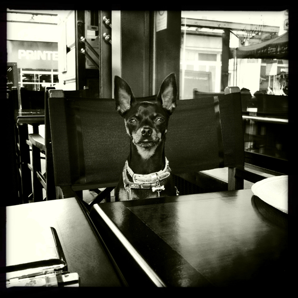 Hip 335706922.668022