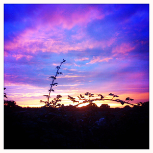 Hip 335301656.526052