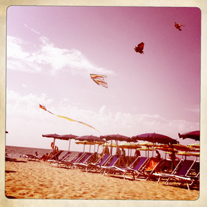 Hip 336059333.095832