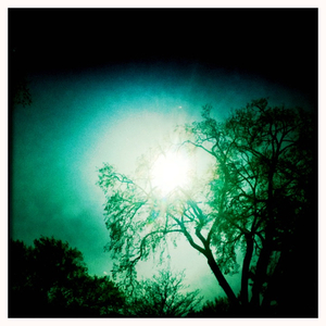 Hip 327195216.221768