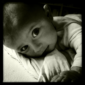 Hip 327131979.808248