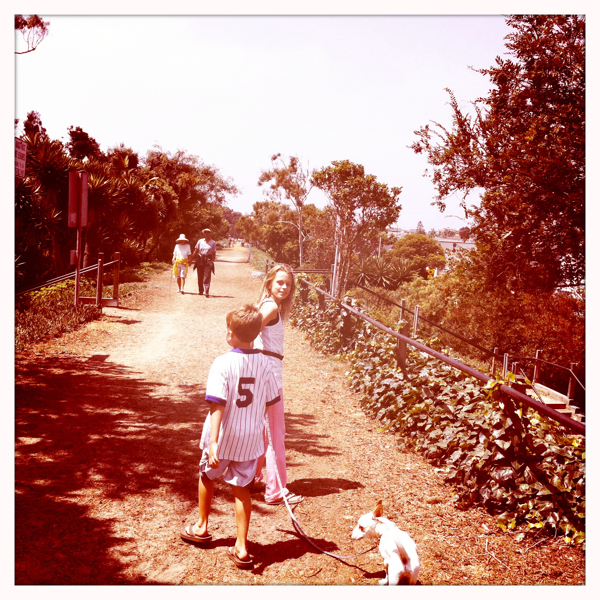 Hip 334349506.884070