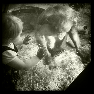 Hip 335858702.214345