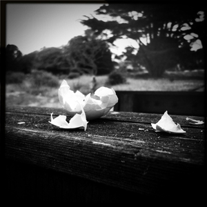 Hip 331873014.317908