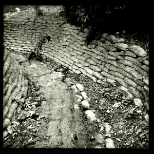 Hip 331953456.294038