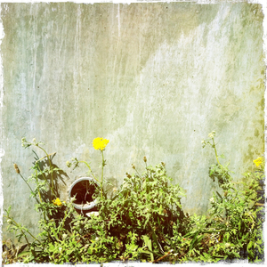 Hip 332030018.421124