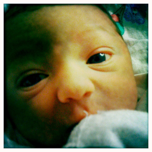 Hip 335908594.144035