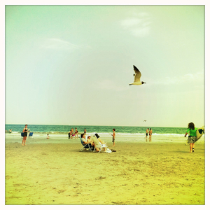 Hip 333833405.912967